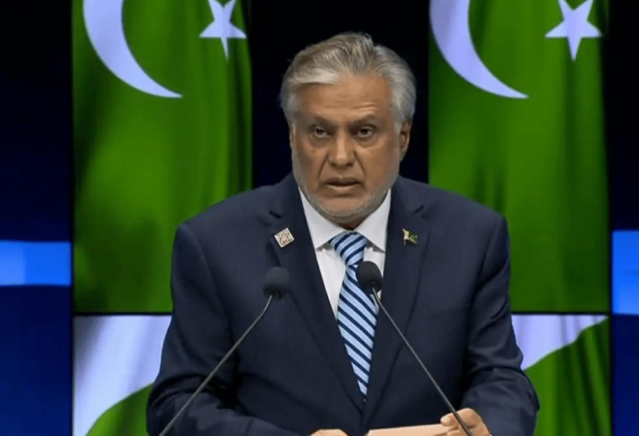 Pakistan's Deputy Prime Minister talks with Foreign Minister of Greece and Switzerland