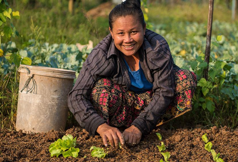 La BAD s'engage à investir 40 milliards de dollars pour renforcer la sécurité alimentaire en Asie-Pacifique d'ici 2030