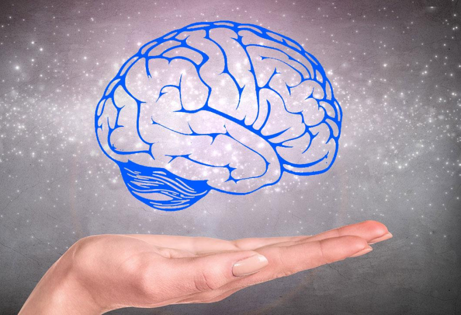 A comprehensive look at what happens in the brain when we're reading
