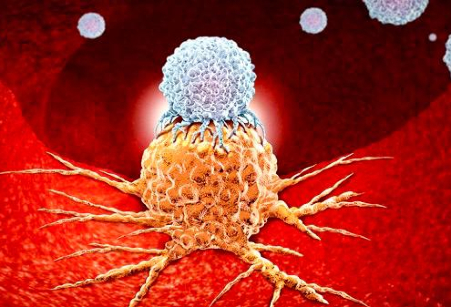 Scientists develop super strong antibodies for new cancer treatment