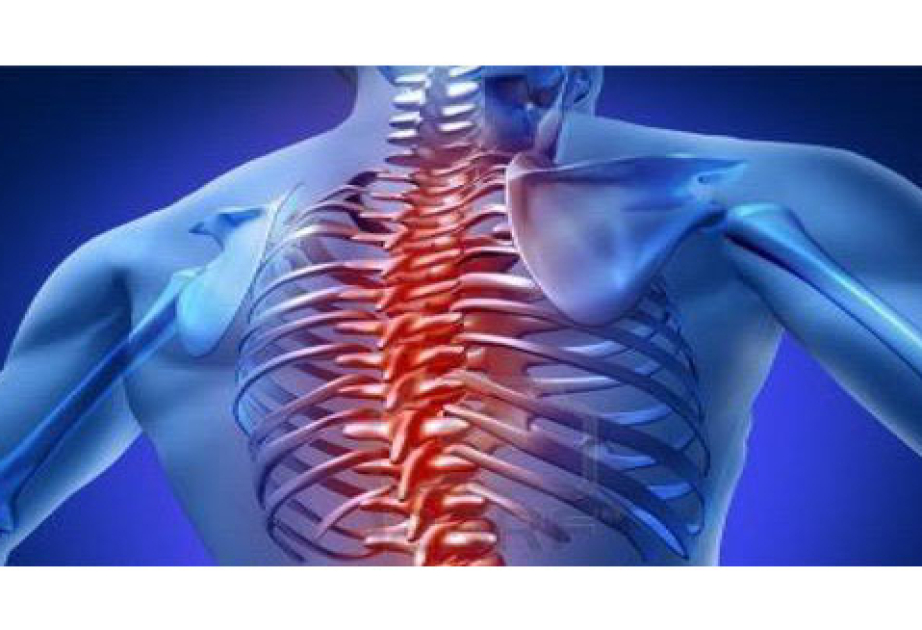 Breakthrough discovery uses gut bacteria and AI to diagnose a chronic pain syndrome