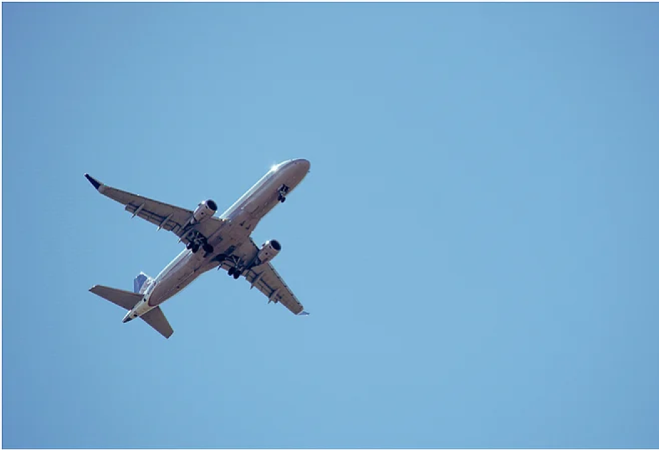 Over 200 flights cancelled; 18 airports temporarily closed for operations