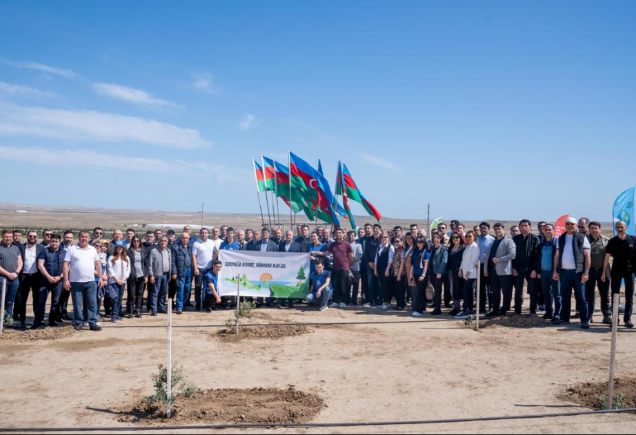 Müşfiqabad qəsəbəsində ağacəkmə aksiyası təşkil olunub