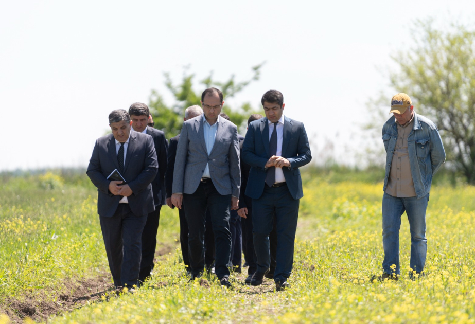 Kənd təsərrüfatı naziri Ağstafa, Tovuz və Şəmkirdə təsərrüfatlara baş çəkib, şərab istehsalı müəssisələrinin fəaliyyəti ilə tanış olub