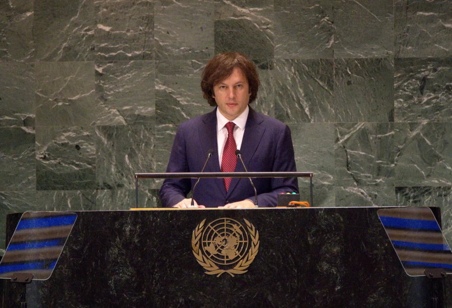Georgia's premier elected head of ruling Georgian Dream party