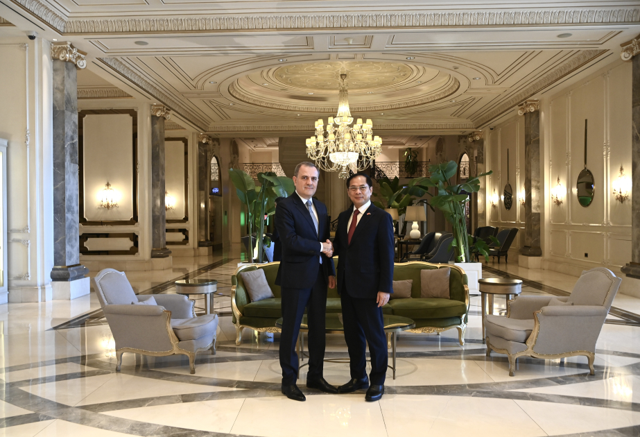 Les ministres des Affaires étrangères azerbaïdjanais et vietnamien discutent de la sécurité internationale