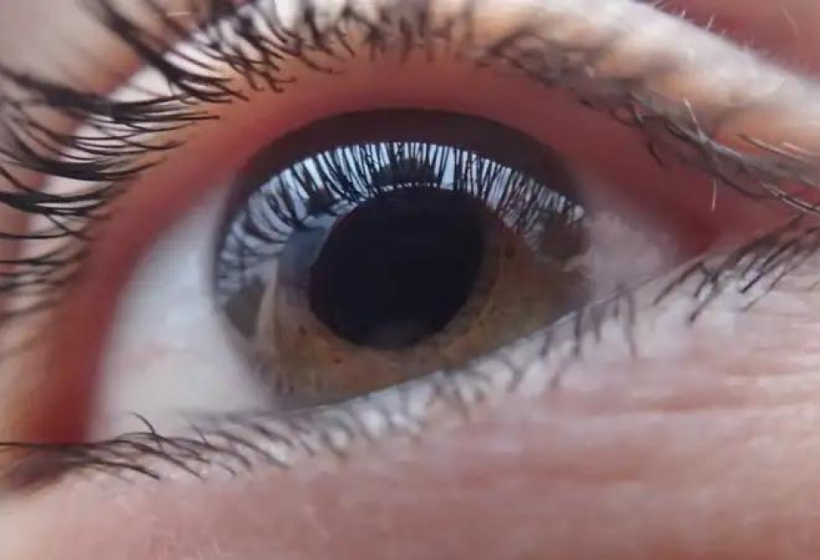 Vitamin supplements slow down the progression of glaucoma