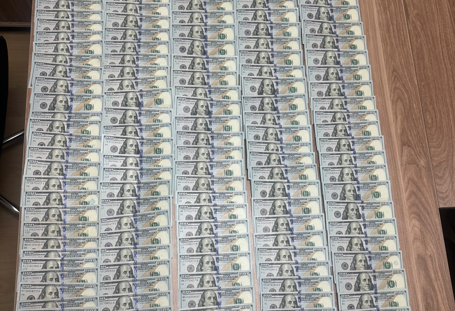 Naxçıvanda evdən 22 min dollar oğurlayan şəxslər saxlanılıblar