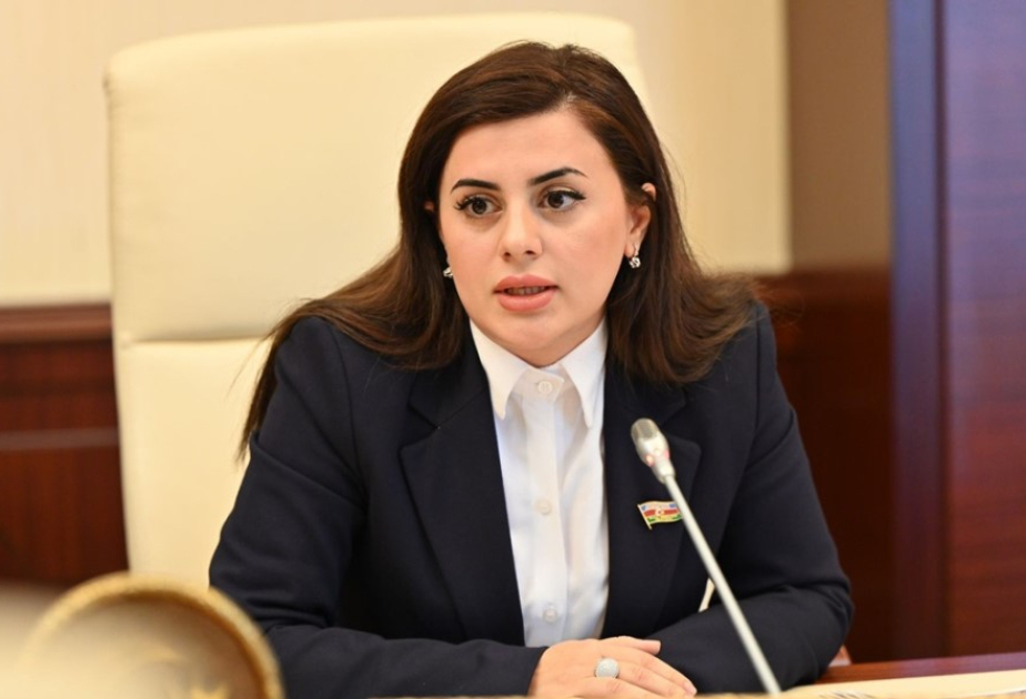 ‘Armenia's mining industry activities endanger entire South Caucasus region’