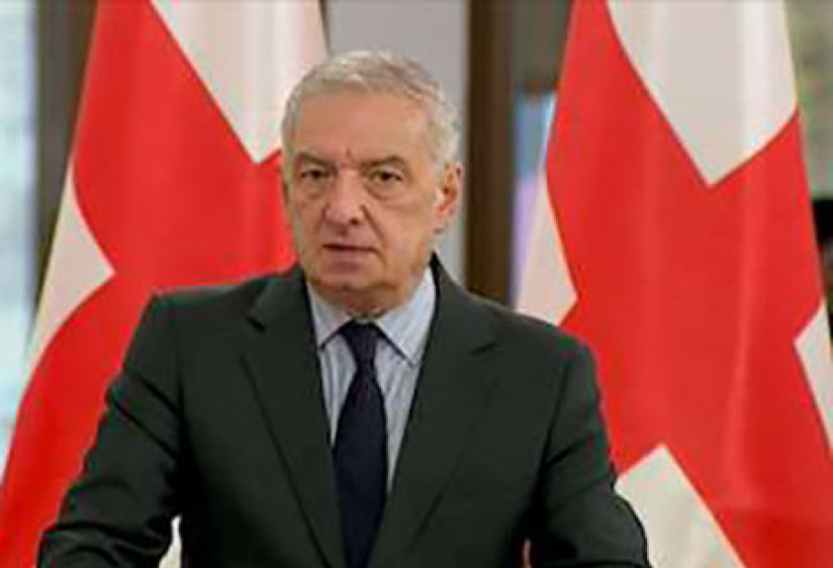 Giorgi Volski: Bəzi diplomatik nümayəndəliklər Gürcüstanda toqquşma ssenarisi hazırlayırlar