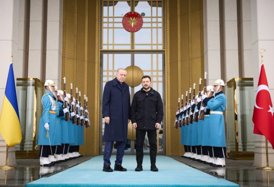 Türkiye ready to back Russia-Ukraine peace talks at every step: President Erdogan