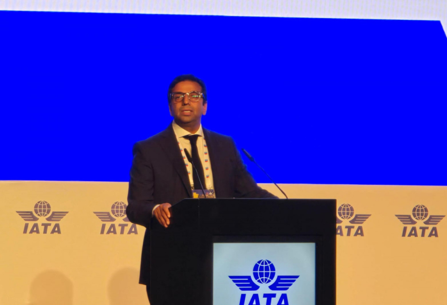 IATA: Azərbaycanda həyata keçirilən enerji layihələri dövlətin iqlim fəaliyyətinə sadiqliyini nümayiş etdirir