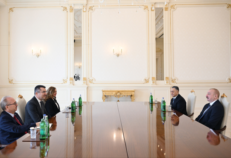 Präsident Ilham Aliyev empfängt Generalsekretär des Nationalen Sicherheitsrates der Türkei VIDEO