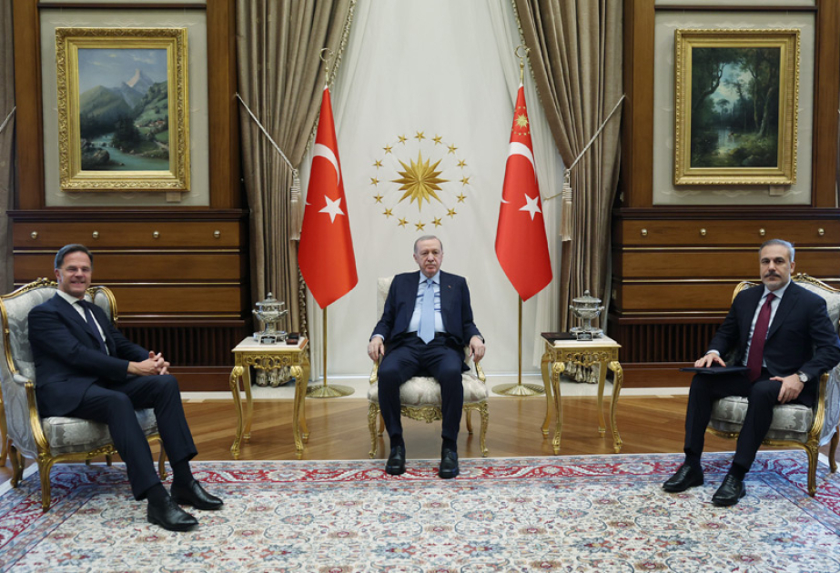 Erdoğan meets NATO chief as bloc’s diplomats gather in Türkiye