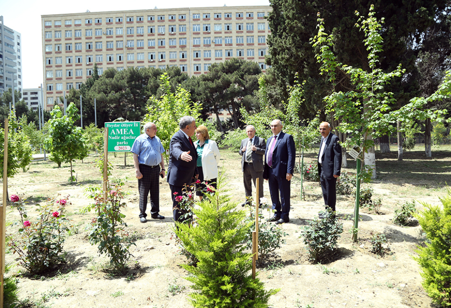AMEA-nın Nadir ağaclar parkı gələcəkdə elmi-təcrübi baza rolunu oynayacaq