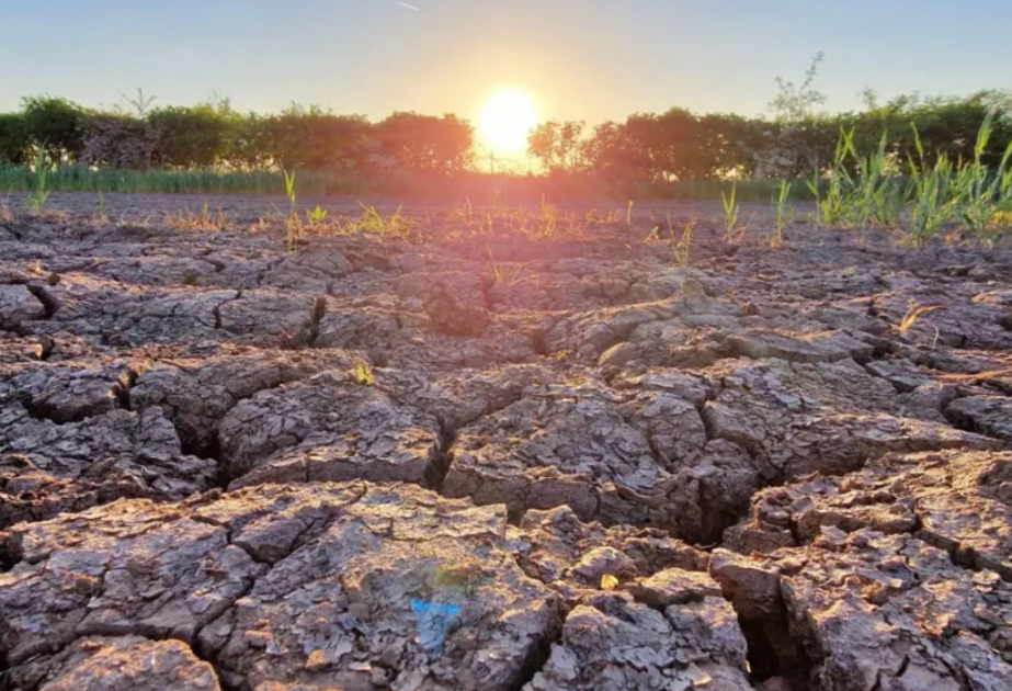 UK on track for driest spring on record with no rain in sight