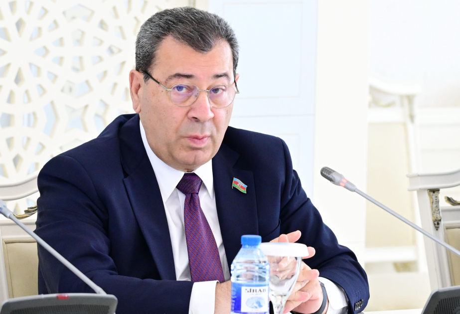 Səməd Seyidov: Yeni reallıq Azərbaycanın beynəlxalq münasibətlər sistemindəki mövqeyini gücləndirib