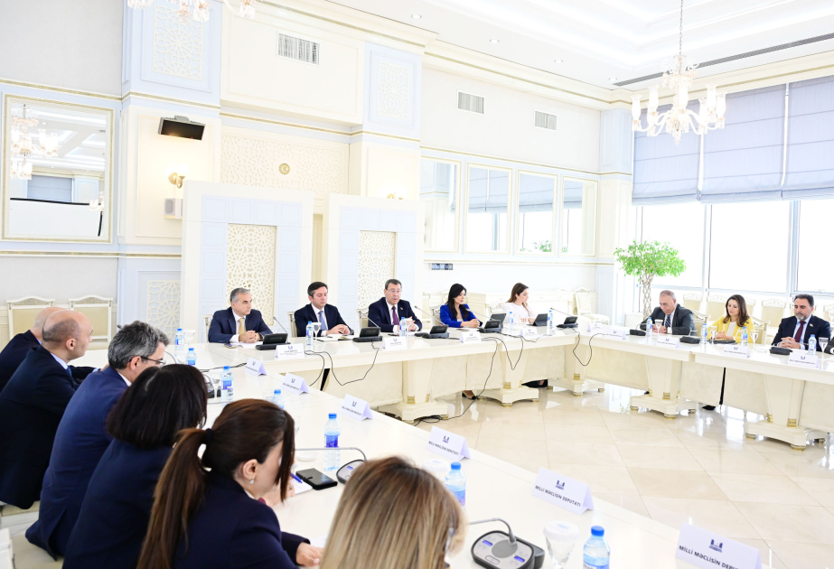 Qlobal Cənubun inkişafını şərtləndirən Qərbin dominantlığına qarşı mübarizədə həmrəylikdir