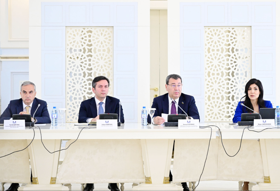 Yalçın Rəfiyev: Qlobal Cənub iqtisadi-siyasi baxımdan inkişaf mərhələsindədir