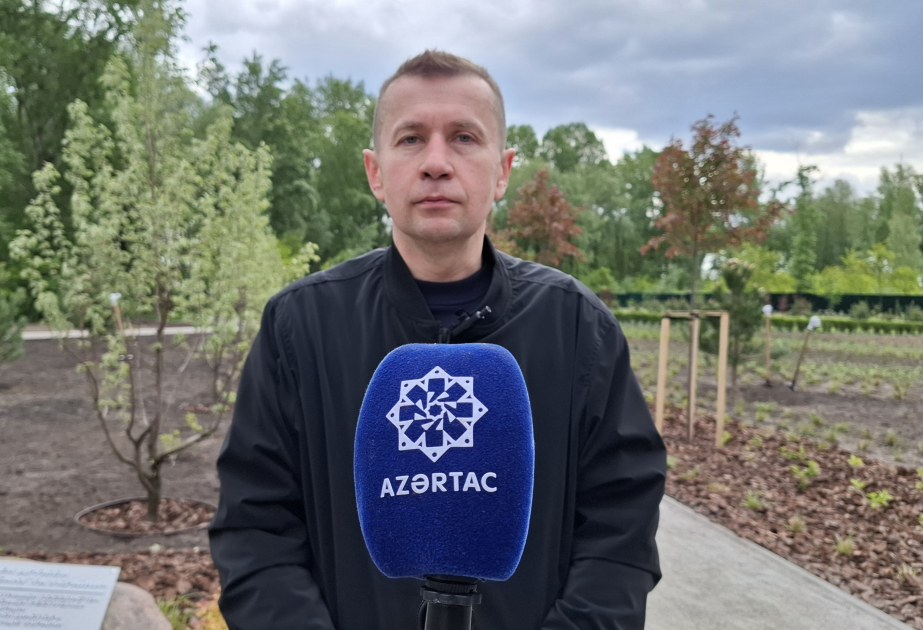 Сергей Власенко: Ущерб, нанесенный войной окружающей среде Украины - около 91,6 миллиарда долларов