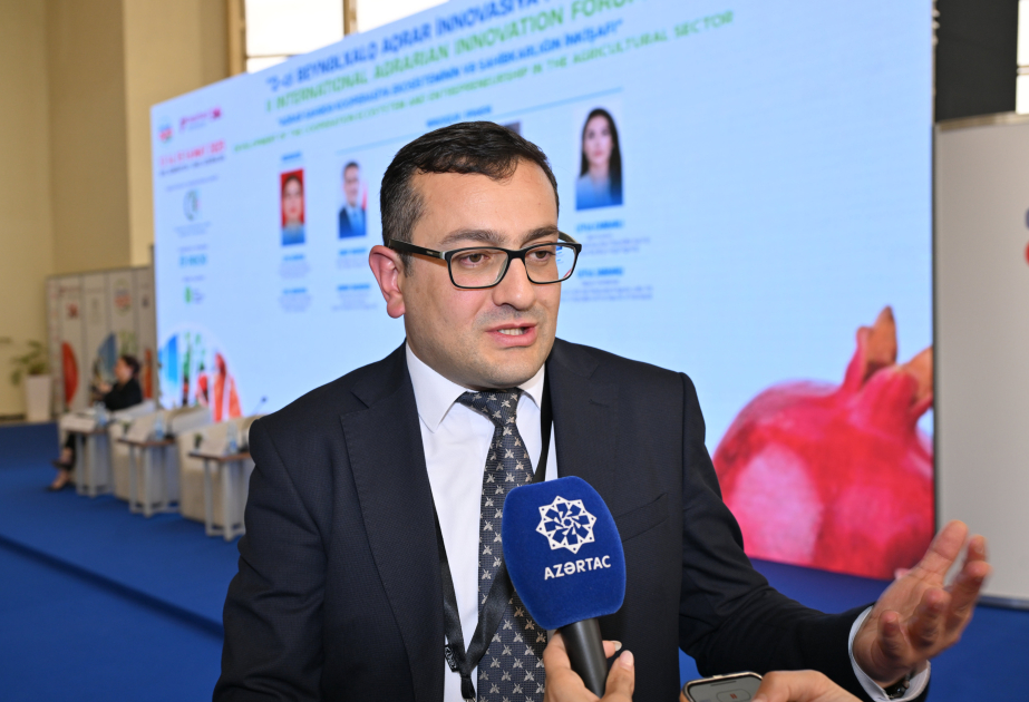 Aqrar Tədqiqatlar Mərkəzinin direktoru: Qarabağda bir neçə şirkətin artıq aqroparklarla bağlı konsepsiyası var