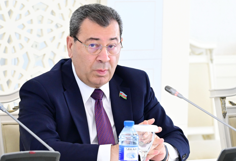 Presidente del comité: “La nueva realidad ha fortalecido la posición de Azerbaiyán en el sistema de relaciones internacionales”