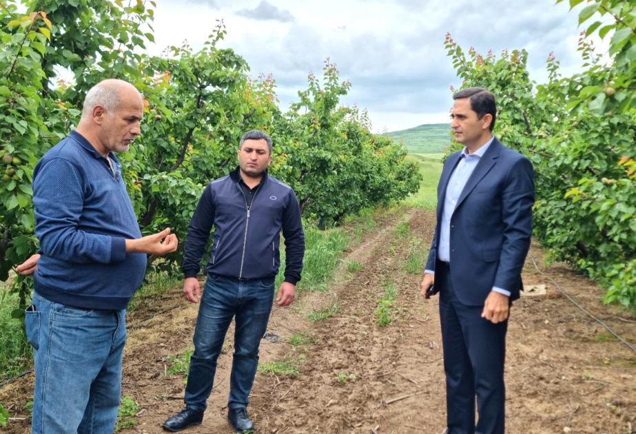 Aqrar Sığorta Fondunun İdarə Heyətinin sədri Şabranda vətəndaşların müraciətlərini dinləyib