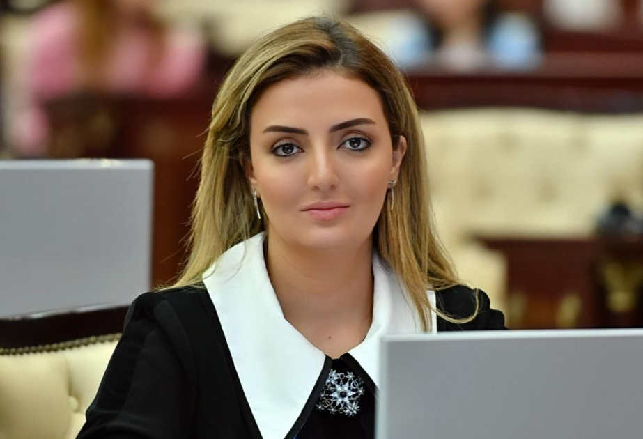 Deputat: Azərbaycan güclü dövlət kimi önəmli beynəlxalq platformalara dəvət alır