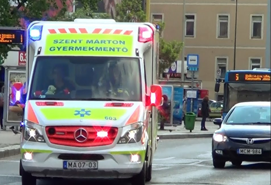 В странах Центральной Европы растет статистика отравлений среди детей
