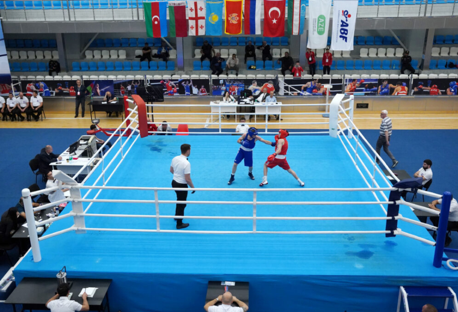 «Кубок Гейдара Алиева-2025»: В очередной этап вышли еще 10 азербайджанских боксеров