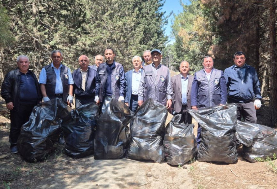 Məhv edilmiş yaşıllıq sahəsi bərpa olunub