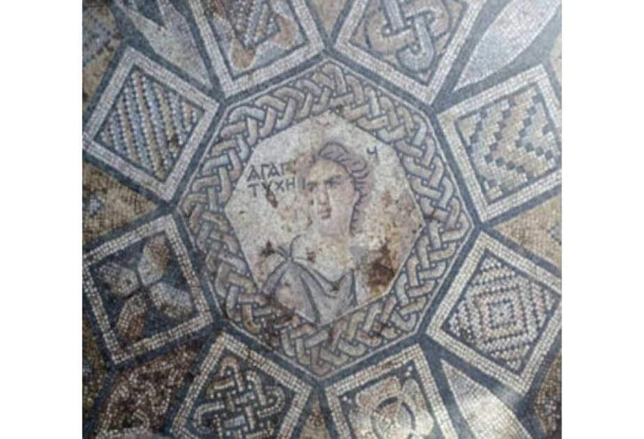 Roman-era mosaic panel discovered in Homs