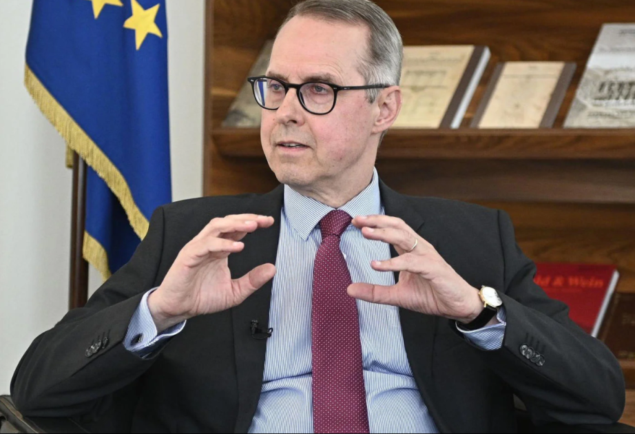 Peter Fişer: Diplomatlar Gürcüstanda məhkəmələrə təsir etməyə çalışırlar
