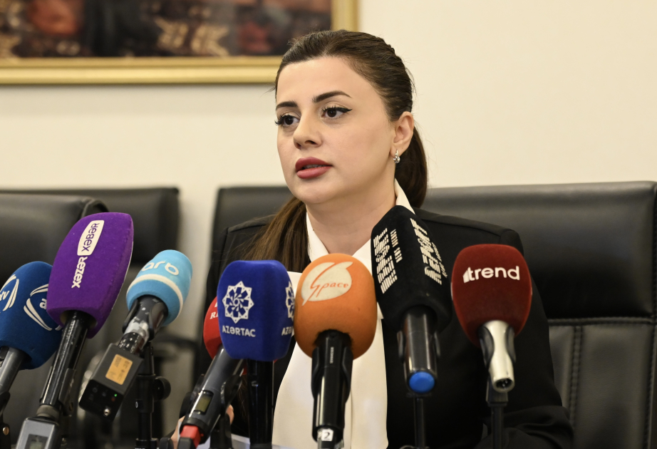 Pərvanə Vəliyeva: Bu il Qərbi Azərbaycanla bağlı 51 layihə QHT-lər tərəfindən icra olunacaq
