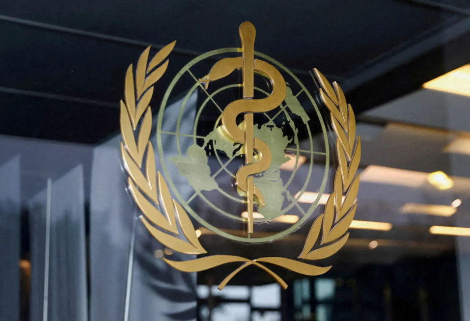 Ghebreyesus: WHO will reduce management staff and departments by half