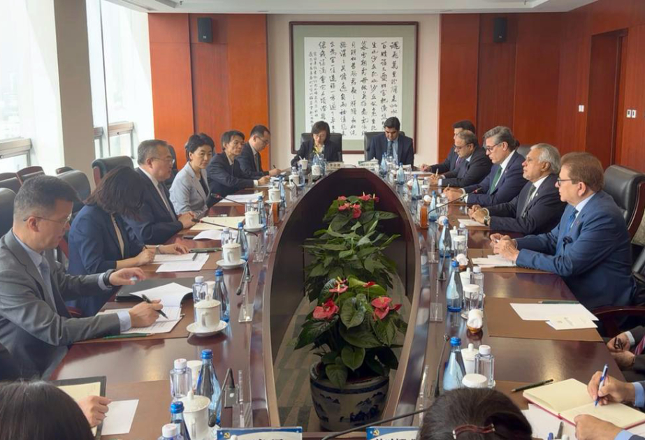 Pakistan’s Deputy Prime Minister Mohammad Ishaq Dar meets Senior Chinese officials in Beijing