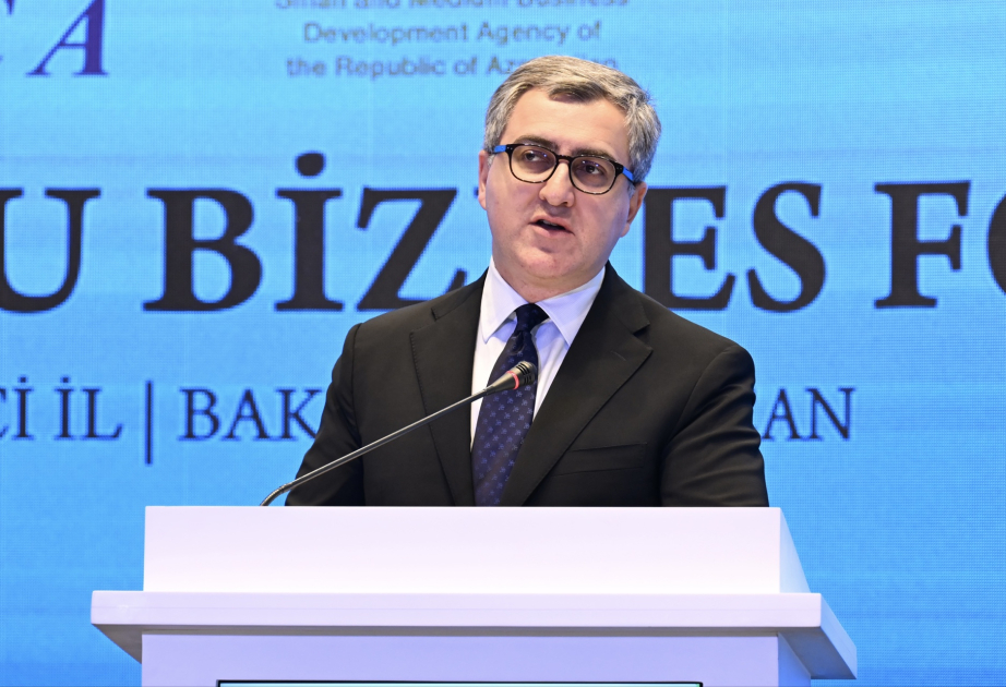 AZPROMO: Azərbaycan AQEM dövlətlərinə qlobal bazarlara çıxmaq üçün dəstək verir