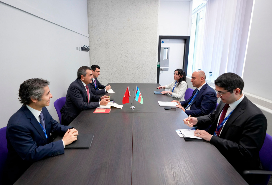 Azərbaycan ilə Türkiyə arasında təhsil sahəsində əməkdaşlığın inkişafına dair fikir mübadiləsi aparılıb