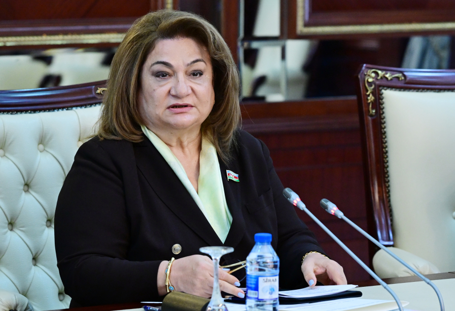 Ötən il ailə və gender məsələləri üzrə institusional tədbirlər gücləndirilib