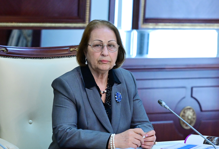 Sədaqət Qəhrəmanova: Gender bərabərliyi və məişət zorakılığına qarşı mübarizədə yerli strukturların rolu artırılmalıdır