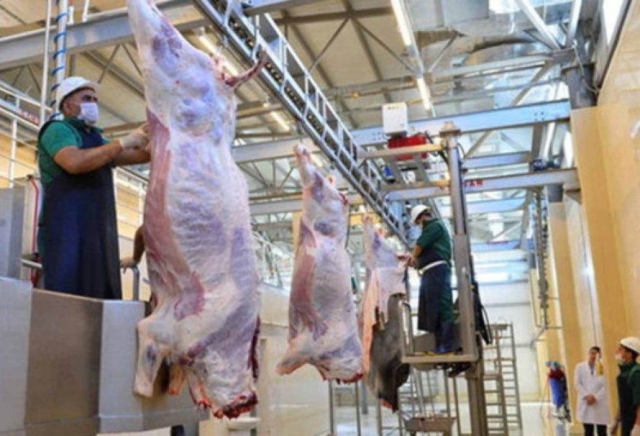 Qurbanlıq heyvanın kəsimi zamanı hansı tələblərə əməl edilməlidir?