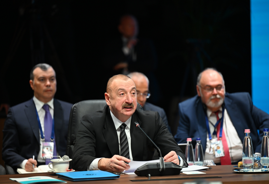 Prezident: Türk İnvestisiya Fondunun rəsmi olaraq bu il fəaliyyətə başlaması nəzərdə tutulur