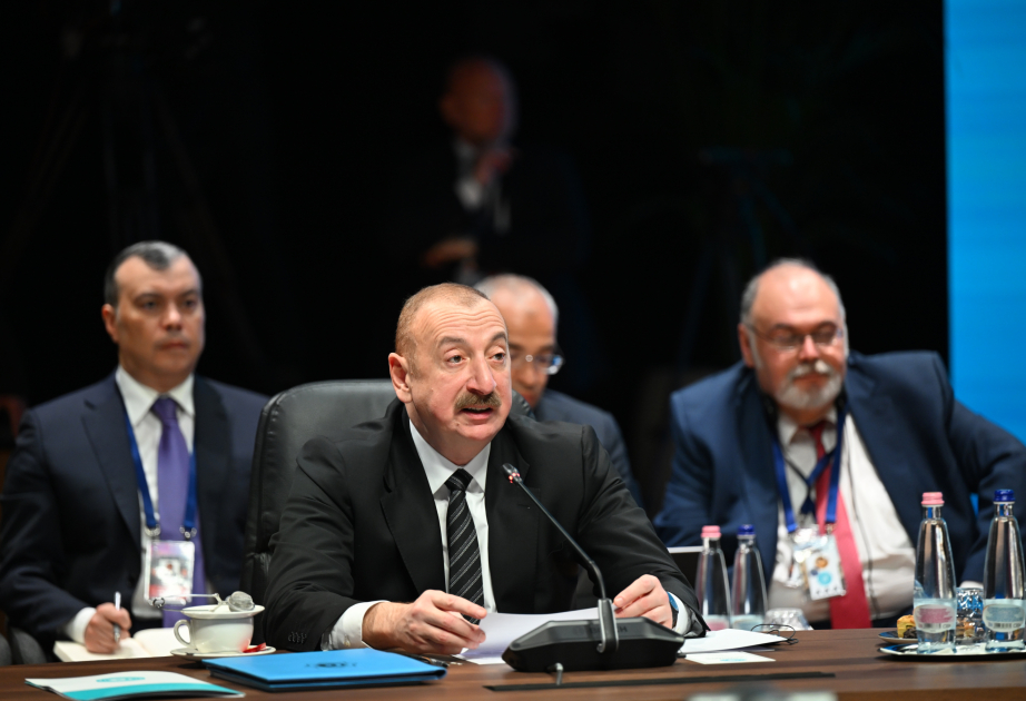 Presidente: "Se espera que el Fondo de Inversión Túrquico entre en funcionamiento oficialmente este año"