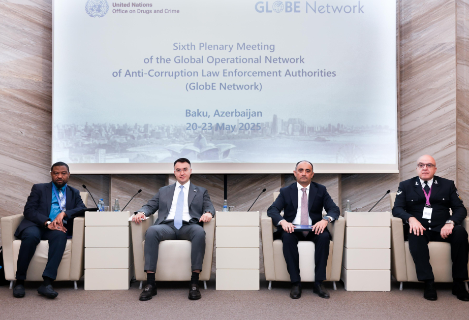 На 6-м пленарном заседании сети GlobE Network обсуждались экологические правонарушения, совершаемые должностными лицами