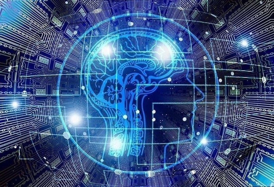 OIT : Un quart des emplois dans le monde pourrait être transformé par l’intelligence artificielle générative