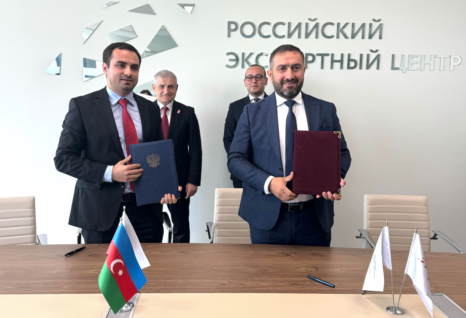 Resident of Yevlakh Pilot Agricultural Park expands with olive grove project in Dagestan