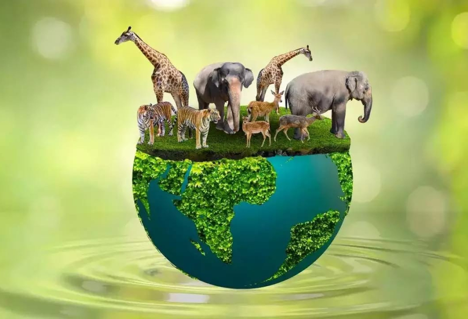 Am 22. Mai ist internationaler Tag der biologischen Vielfalt