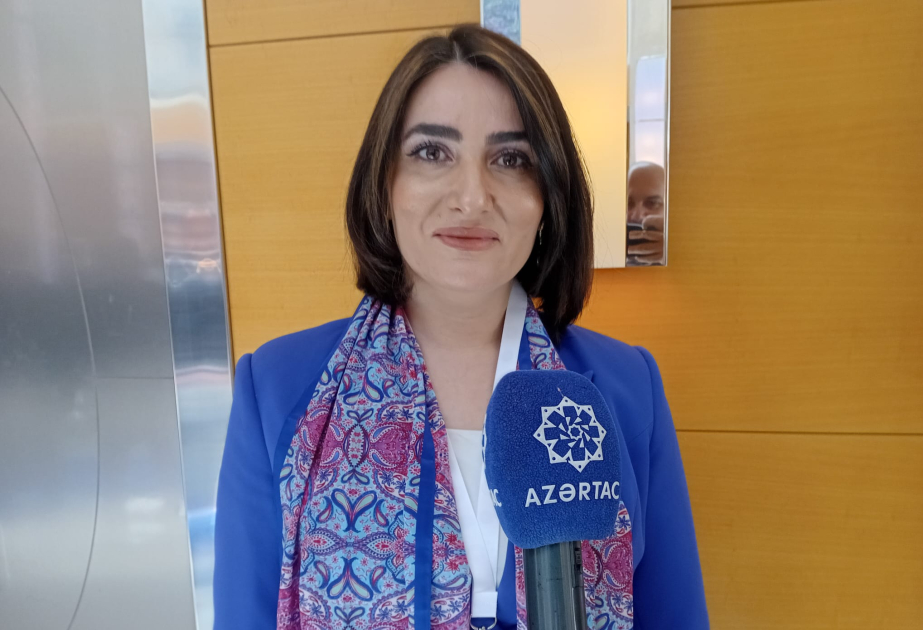 Türkiyəli ekspert: Dünya ictimaiyyəti Qərbi Azərbaycan haqqında həqiqətləri bilməlidir