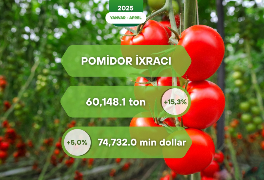 Les exportations azerbaïdjanaises de tomates vers les marchés étrangers ont augmenté de 15,3%