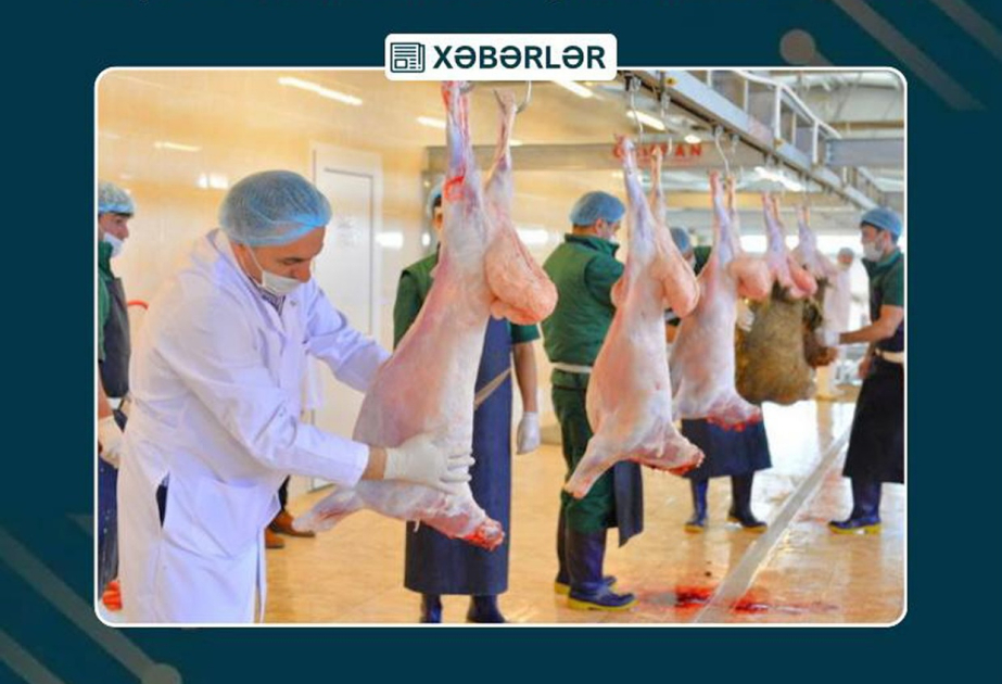 Muxtar respublika üzrə 8 ünvanda qurbanlıq heyvanların satışı və kəsimi xidmətləri təşkil olunacaq